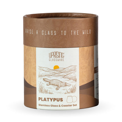 Protective recyclable gift tube the glass ships in